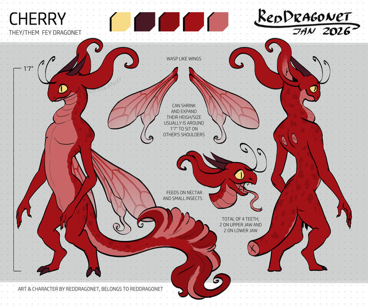 Cherry Reference Sheet - January 2026